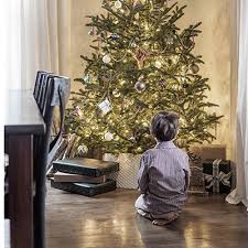 We did not find results for: Christmas Decorations The Home Depot