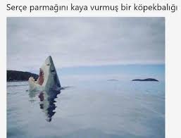 Serce Parmagini Vurmus Kopekbaligi Komik Goruntuler Komik Capsler Komik Seyler