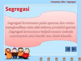 Kamus dewan edisi keempat book. Segregasi Maksud