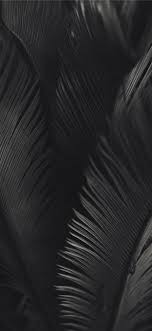 Apple / iphone 11 pro max 1599 wallpapers fitting your device, 1242x2688 or larger. Iphone 11 Pro Max Black White Wallpapers Wallpaper Cave