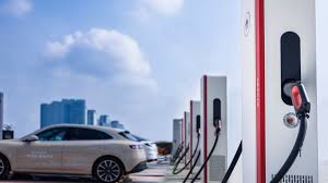 Image result for Tan 2024 Fleet