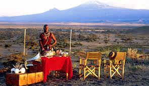 Image result for kenya safari