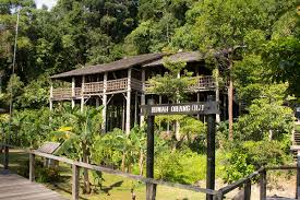Tucked away in the foothills of mt. 2d1n Longhouse Experience Taman Negara