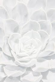 Pin De Artsparadis En Shades Of White La Belle Couleur Blanche Tonos De Blanco Fondo Blanco Fondos Blancos Tumblr