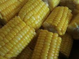 Check spelling or type a new query. Jagung Manis Rebus Perniagaan Katering Restoren