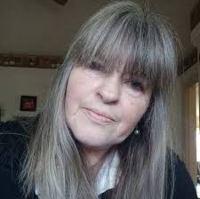 What are some affordable and good veterinarians in Lynchburg?