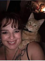 Friendly intact male cat looking for new home