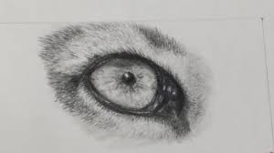 Learn how to draw the king of the big 5 animals, the lion. How To Draw A Realistic Cougar S Eye Speed Drawing Youtube