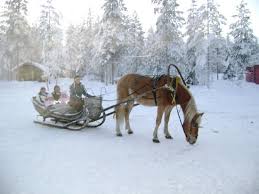 Image result for New England sleighs pictures