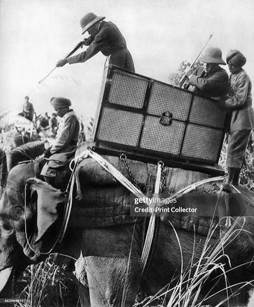 George V shooting tigers, India . The King and Queen Mary travelled... News Photo - Getty Images