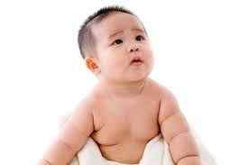 Check spelling or type a new query. Are Formula Fed Babies At Greater Risk For Obesity Baby Gooroo