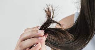 Fourche Cheveux Comment Prendre Soin De Cheveux Fourchus