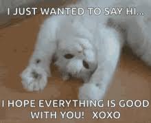 Check spelling or type a new query. Just Saying Hi Gifs Tenor