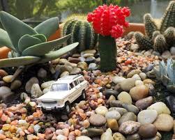 Desert Terrarium Pdf Tutorial How To Make Your Own By Mymicrocosm 5 00 Desert Terrarium Pdf Tutorial Di Cacti And Succulents Modern Terrarium Succulents