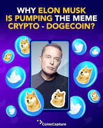 Why Elon Musk Is Pumping The Meme Crypto Dogecoin In 2021 Memes Pump And Dump Pump It Up