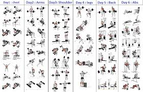 57 Prototypical Routine Exercise Chart For Gym