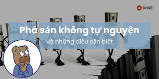 Phá sản tự nguyện là gì? Cách thức và thủ tục tuyên bố phá sản ra sao?