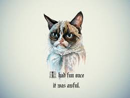 Looking for the best wallpapers? Cat Meme Wallpapers Top Free Cat Meme Backgrounds Wallpaperaccess