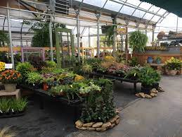 Retail Plant Nursery Layout Plant Nursery Garden Center Displays Plants