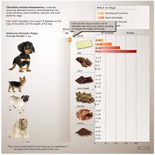 Chocolate Poisioning In Dogs Theobromine Toxicity Levels