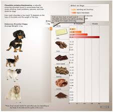 chocolate poisioning in dogs theobromine toxicity levels