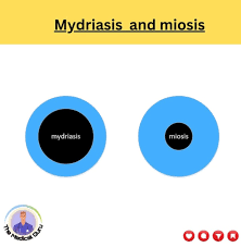 Image result for Mydriasis