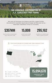 Christmas Tree Farm Loan | Agamerica