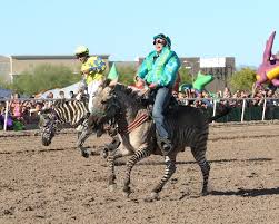 The texas race track even intends on having a special snapchat filter in place so people can take selfies of themselves alongside a cartoon ostrich and camel to celebrate the weird event and let their friends know what they're up to. Latest News Turf Paradise