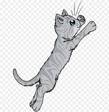 Tons of awesome warriors cats backgrounds to download for free. Ray Sky Before Dawn Warrior Cats Grey Cats Png Image With Transparent Background Toppng