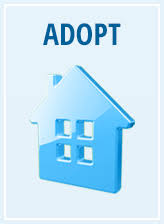 Home For Good Dog Rescue Hfgdr Is A 100 Foster Based Non Profit 501 C 3 Dog Rescue Established In 2010 In Summit New Jersey Dog Adoption Best Dogs Dogs