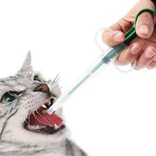 Check spelling or type a new query. How To Give Medicine To A Cat Yes Even To A Difficult Cat
