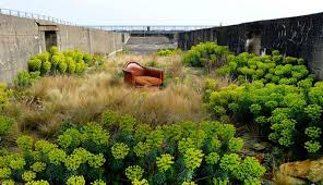 comment les pesticides ont tue votre jardin landschapsarchitectuur ontwerp tuinarchitectuur hovenieren