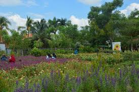 Kemungkinan diantara sekian banyak sobat cendol dawet ada yang menganggap bahwa mimpi itu hanyalah sebatas bunga tidur saja dan tidak mempunyai arti apapun. Botanic Garden Wisata Bunga Instagramable Di Lombok Barat Kabupaten Lombok Barat