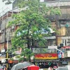 Police Stumble On Huge Matka Riches A wonderful speech given by our honorable cm in 100 year indian cinema celebration by jaya tvhonorable cm addressing in the 100 year cinema celebration and. police stumble on huge matka riches