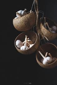 Garlic Bulbs In The Coconut Shells By Thai Thu Photo 250150717 500px Coconut Shell Crafts Coconut Shell Shell Crafts Diy