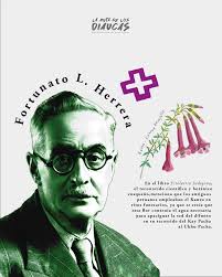 RegeNativa (@regenativa) • Instagram photos and videos