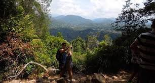 The national park is so although taman negara is perhaps not the best place to visit when you're hoping to spot animals like elephants, hornbills, tigers, leopards, sun bears. A Memorable Trip To Taman Negara Busonlineticket Com