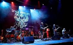 Space Antelope - Tribute to Phish