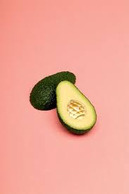 Inanotherlifewhenwearecats Photography Sarah Illenberger Still Life Art