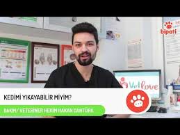 Kedi Ve Kopekte Goz Akintisi Youtube