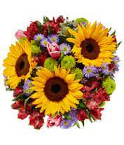 European garden bouquet for spring enlarge the essence of europe comes to life in all its grandeur with this bright assortment of alstroemeria, button poms, monte casino, sunflowers and tulips in an elegant clear glass vase. European Floral Garden At From You Flowers