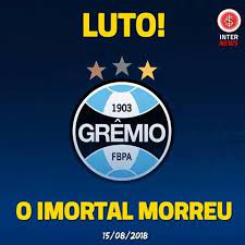 Bah eu não quero ver briga em campo, nem eh do feitio do gremio. 10 Ideias De Zuando O Gremio Em 2021 Zuando O Gremio Gremio Internacional Futebol Clube