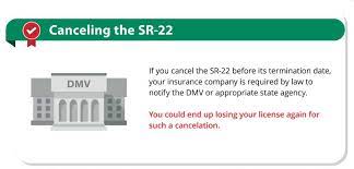 What does an insurance carrier mean? What Is Sr 22 Insurance And What Does It Do The General Insurance