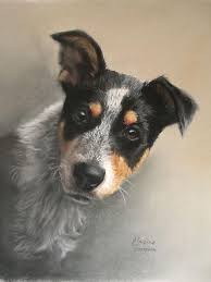 Maybe you would like to learn more about one of these? Funny Pet Portraits Nz Petslover