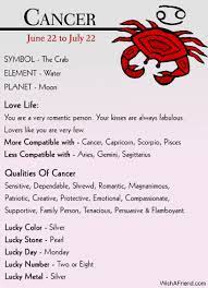 All Except Shrewd Cancer Star Sign Cancer Horoscope Zodiac Signs Cancer