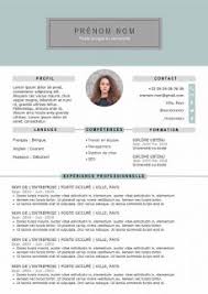 Sa colonne de droite est pensée pour mettre un maximum de compétences professionnelles sur le cv. Exemple De Cv A Remplir Gratuit Au Format Word Cv Word