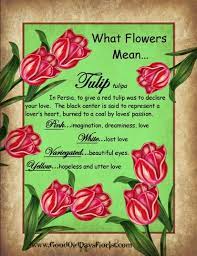 The Meaning Of Tulips Good Old Days Florist