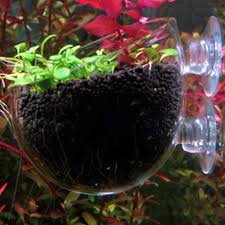 Maybe you would like to learn more about one of these? Lnimikiy Mini Gambero Acquario Serbatoio Di Pesce Acquatico Cristallo Vaso Da Fiori Portabicchieri Pianta Da Appendere In Vetro Terrari Vaso Da Fiori Per Piante Ad Aria Arredo Per Acquario Prodotti Per Animali