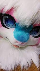 Kloof suits canine head base tutorial. Pin On Fursuits