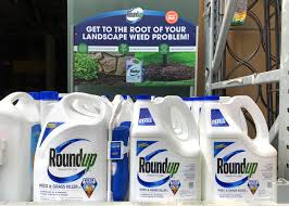 Apply roundup when the weeds and grasses are actively growing. Judge Has Questions About Bayer S 2 Billion Roundup Settlement